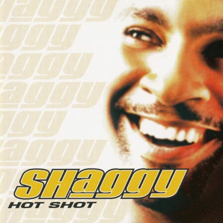 Shaggy - Hot Shot (2001)